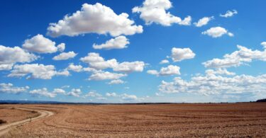 brown field and blue sky