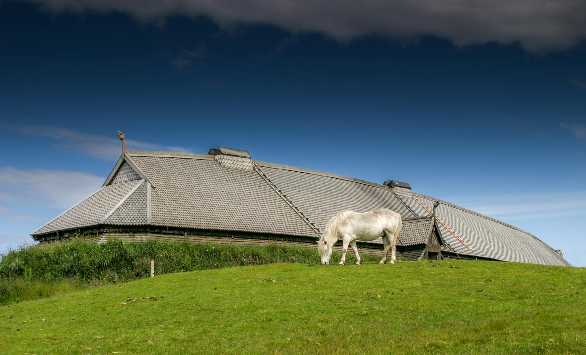 white horse in front of a building on a field