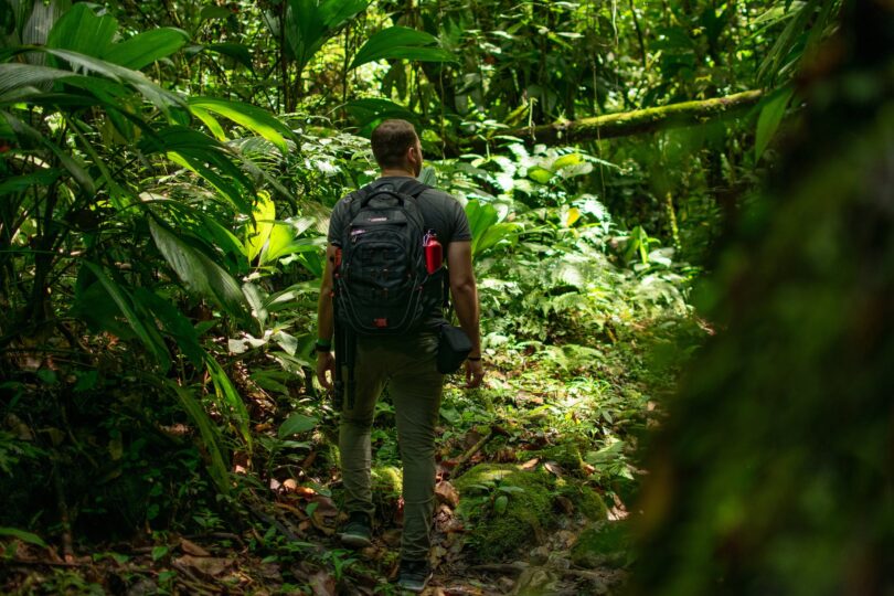 man carrying black backpack standing beside trees