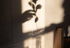 anonymous person putting plant into glass vase