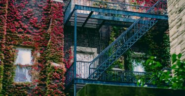 blue metal ladder