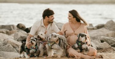 happy couple spending time on beach with cute dogs