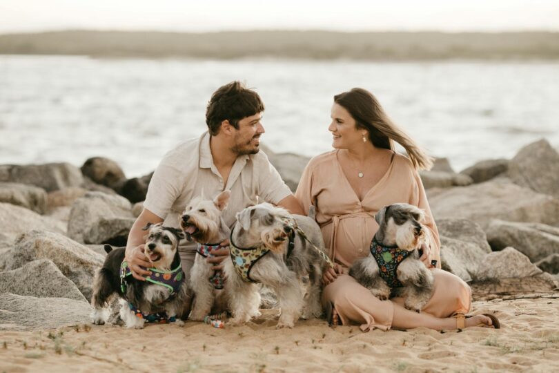 happy couple spending time on beach with cute dogs