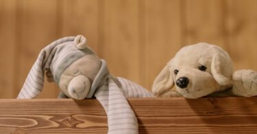 two plush toys on wooden surface